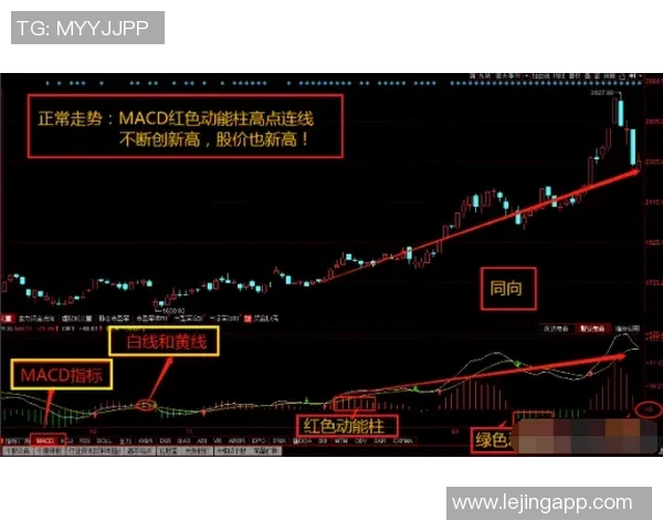 2026年3月份新闻从零基础到高水平攀岩耐力提升全攻略助你轻松征服每一座岩壁 2026年3月份新闻从零基础到高水平攀岩耐力提升全攻略助你轻松征服每一座岩壁